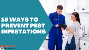 15 Ways to Prevent Pest Infestations
