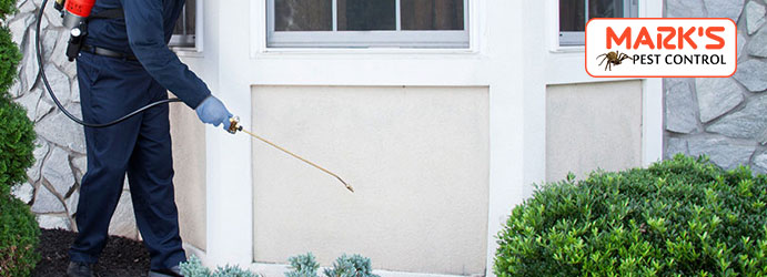 Pest Control Bayswater