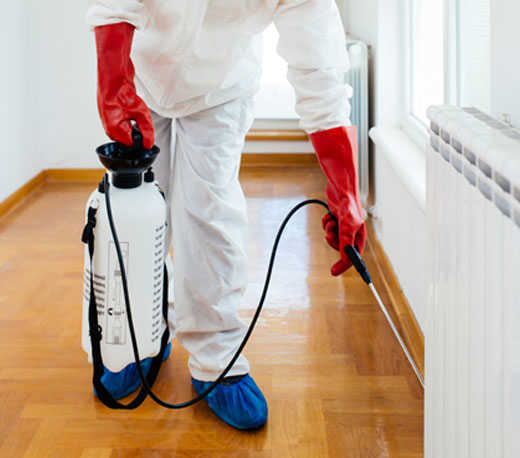 Affordable Pest Control Stony Point