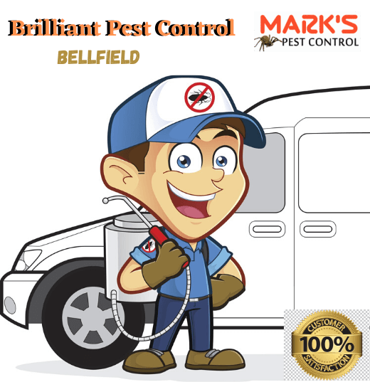 Brilliant Pest Control Bellfield