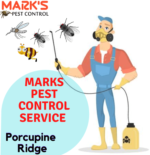 Marks Pest Control Service in Porcupine Ridge