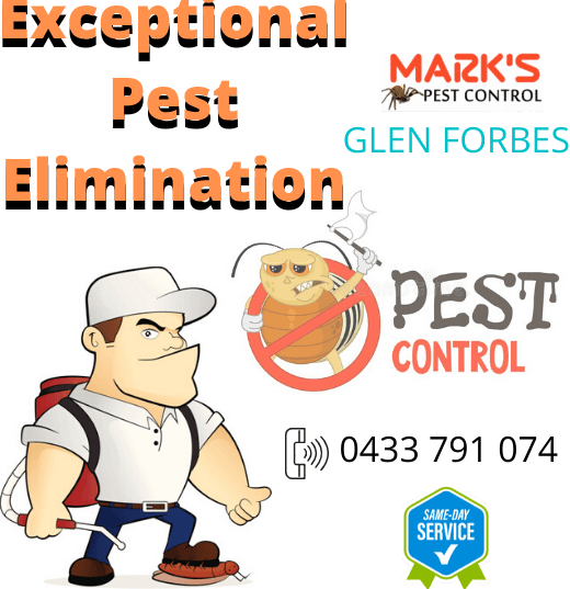 Exceptional Pest Elimination Glen Forbes