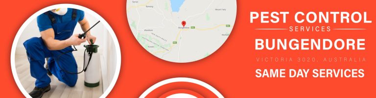 Pest Control Bungendore