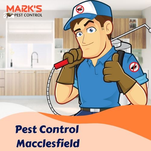 Pest Control Macclesfield