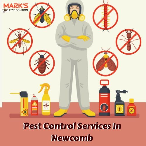 Pest Control Newcomb