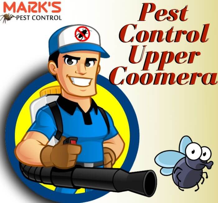 Pest-Control-Upper-Coomera