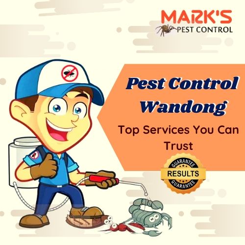 Pest Control Wandong
