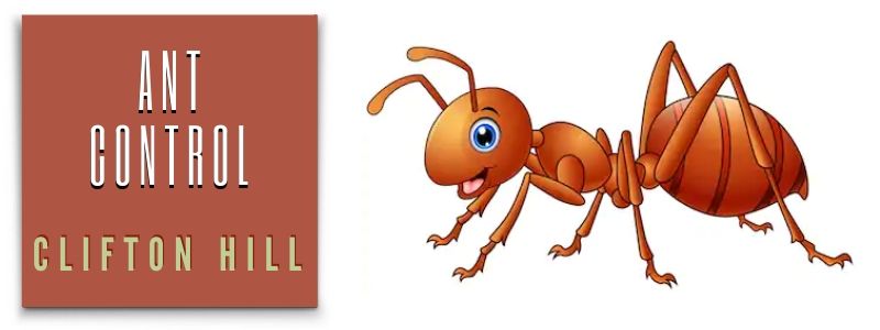 ant control