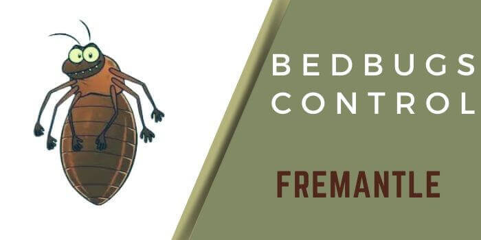 bedbug control Fremantle