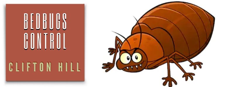 bedbugs control