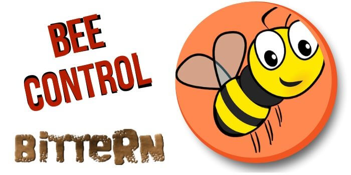 bee control Bittern
