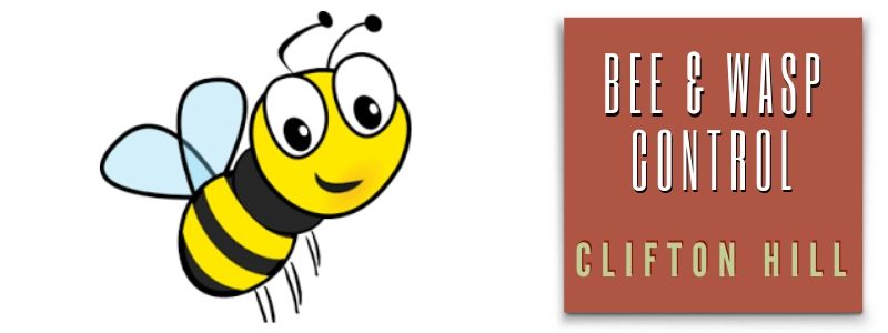 bee & wasp control clifton hill