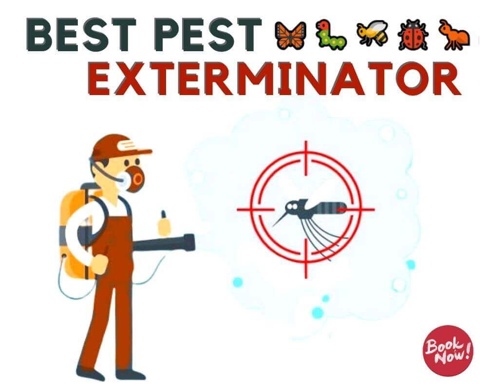 best pest exterminator