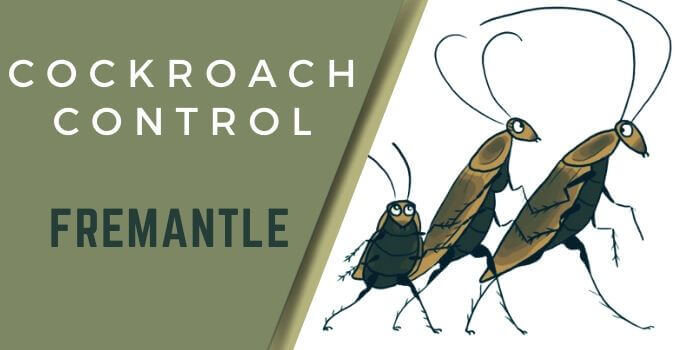cockroach control Fremantle