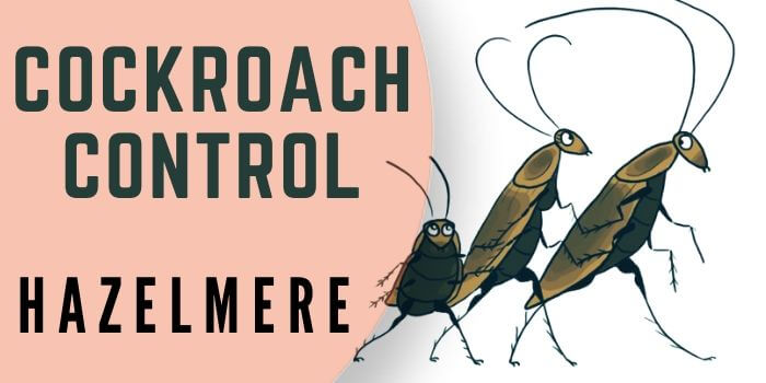 cockroach control Hazelmere