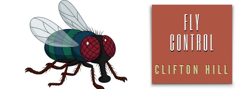fly control clifton hill
