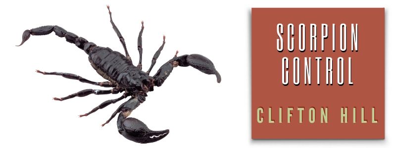 scorpion control clifton hill