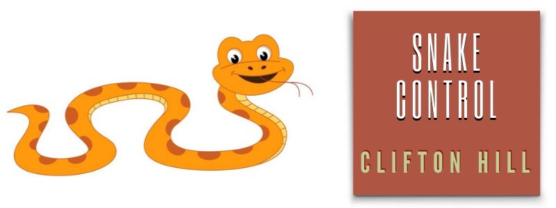 snake control clifton hill