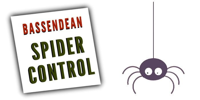 spider control Bassendean