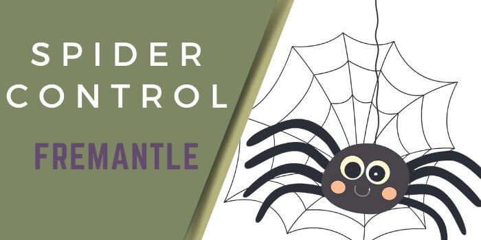 spider control Fremantle