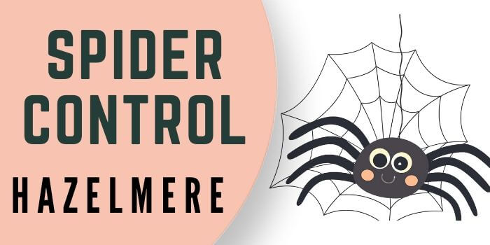 spider control Hazelmere