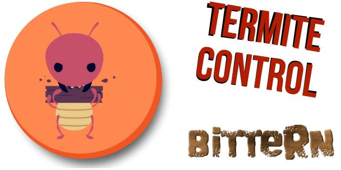 termite control Bittern