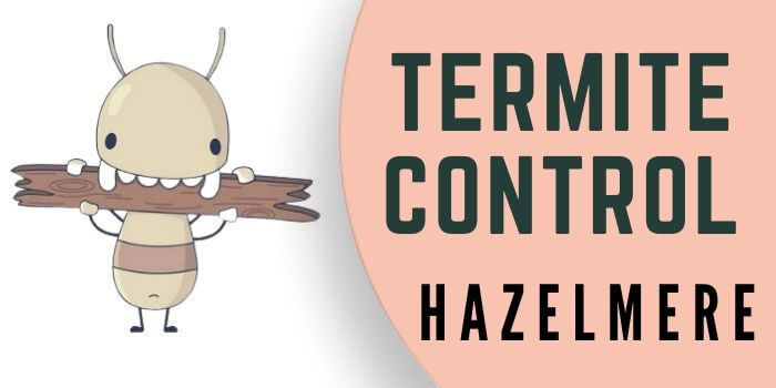 termite control Hazelmere