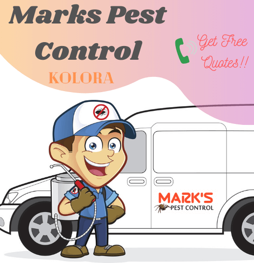 Marks Pest Control Kolora