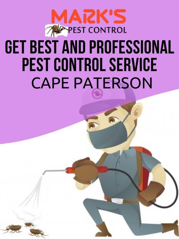 Pest Control Cape Paterson