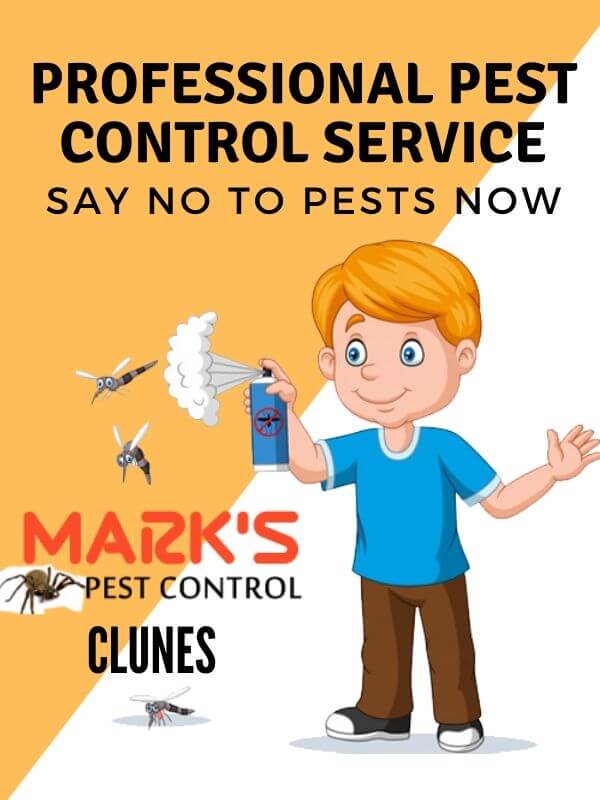 Pest Control Clunes