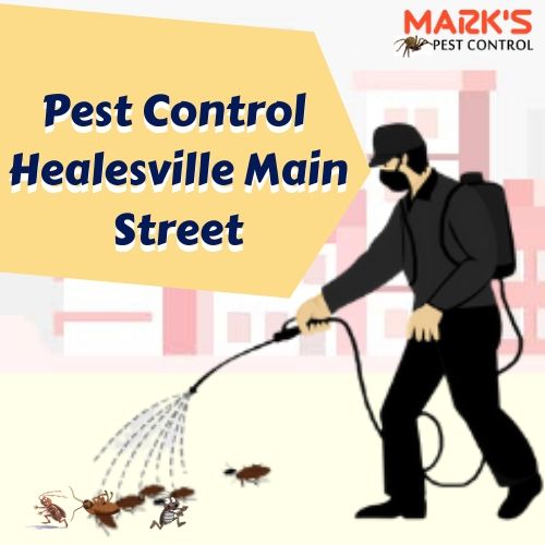 Pest Control Healesville Main Street