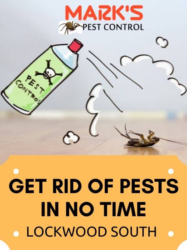 Pest Control Lockwood South