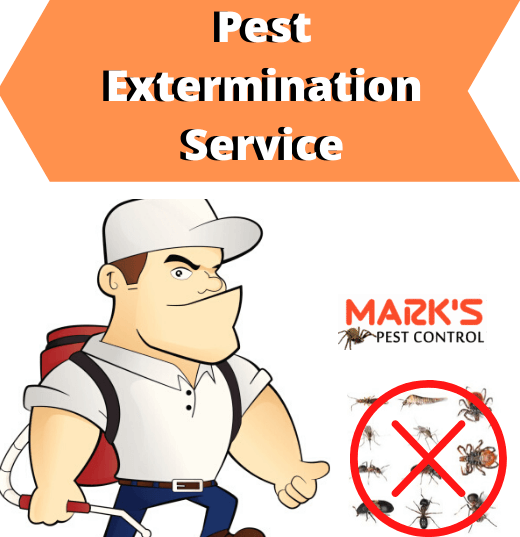 Pest Extermination Service