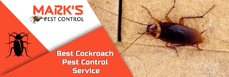 Best Cockroach Pest Control