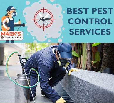 Best Pest Control Port Douglas