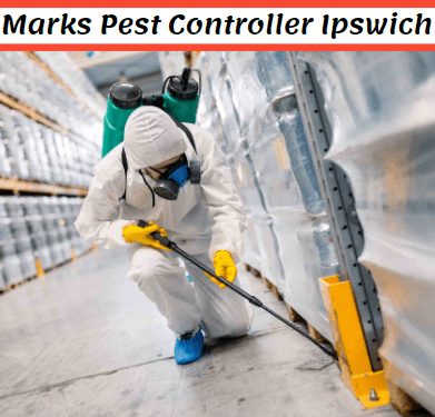 Pest control Ipswich