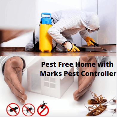 pest free home