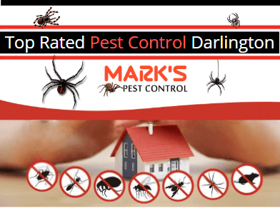 top rated Pest Control Darlington