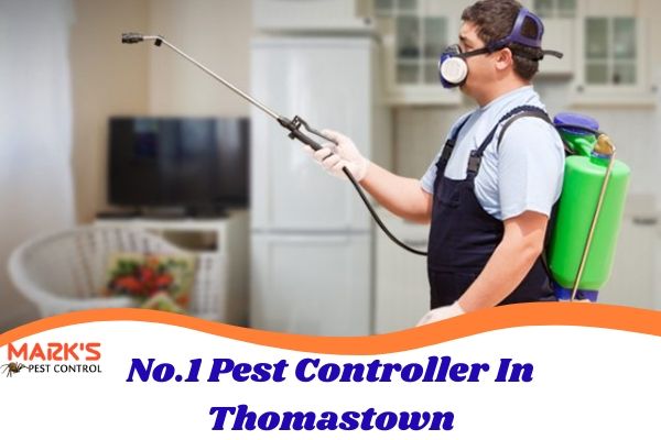 No.1 Pest Controller In Thomastown