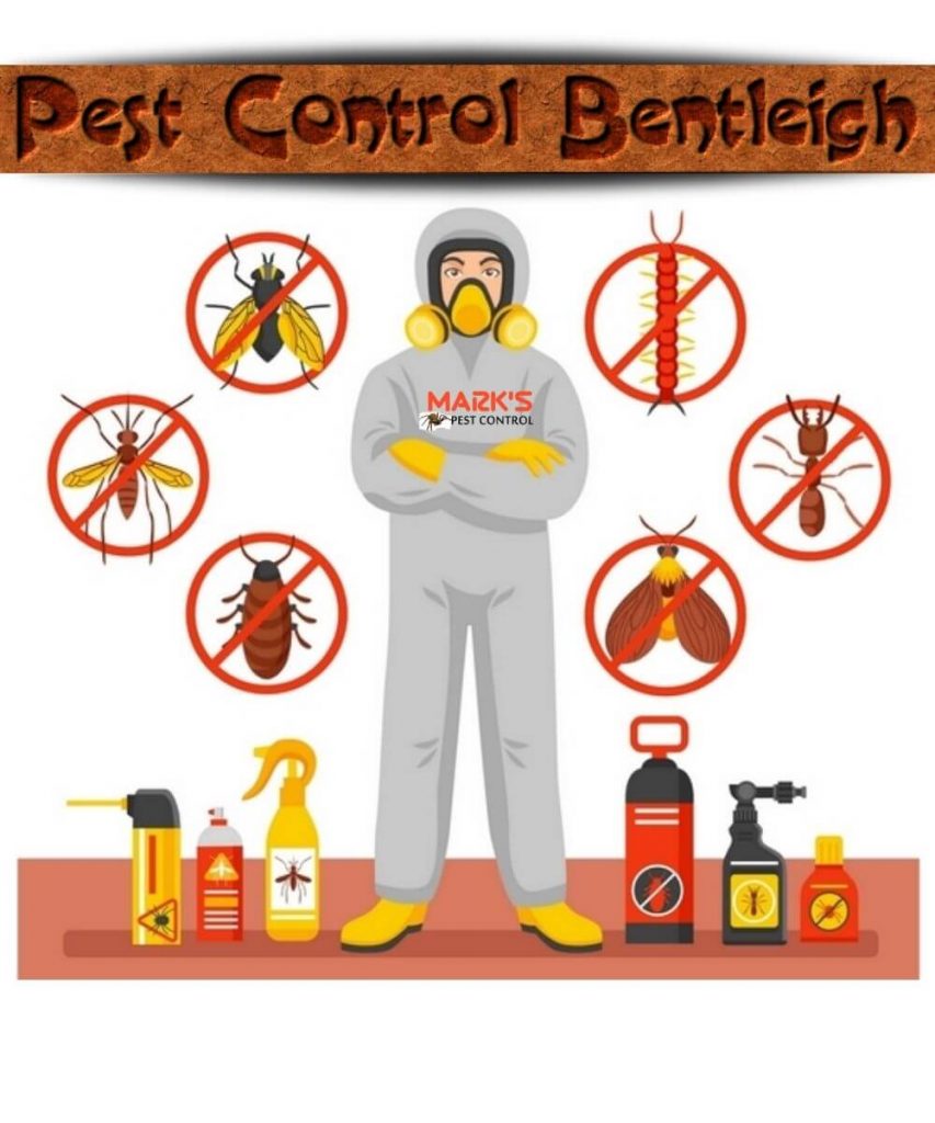 pest control service