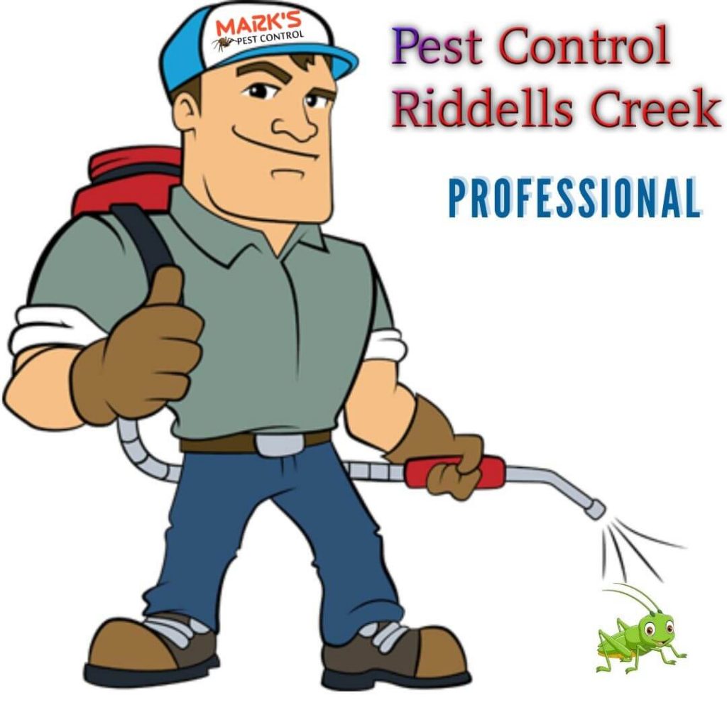 pest control riddells creek