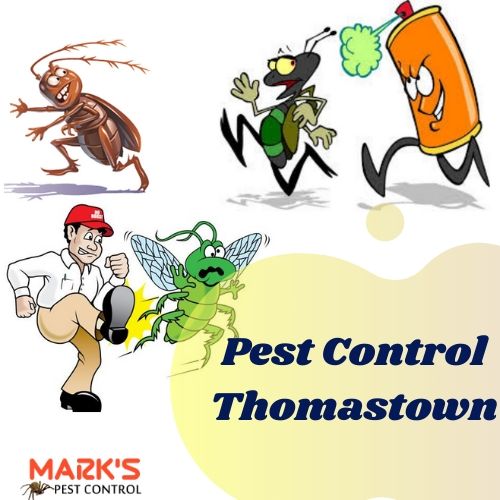 Pest Control Thomastown
