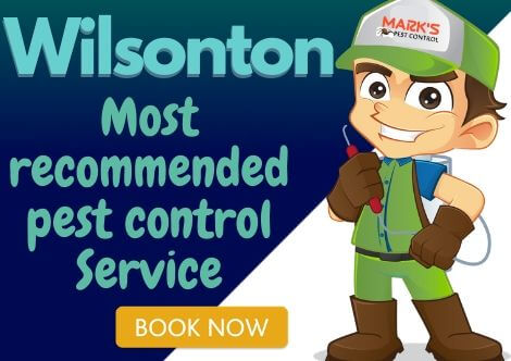 Pest control Wilsonton
