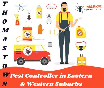 Pest Controller in Eastern & Western Suburbs Thomastown