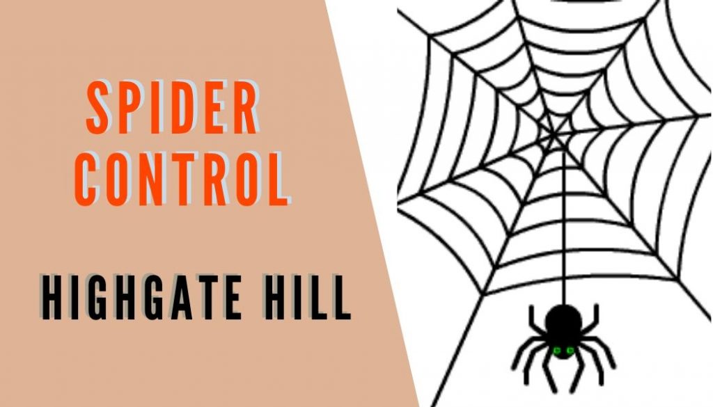 spider control highgate hill