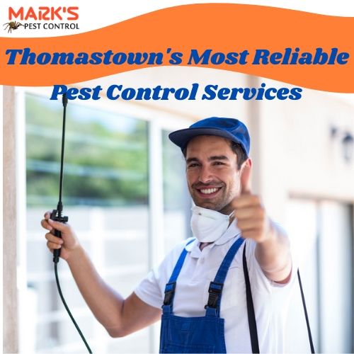 Thomastown's Most Reliable Pest Control Services