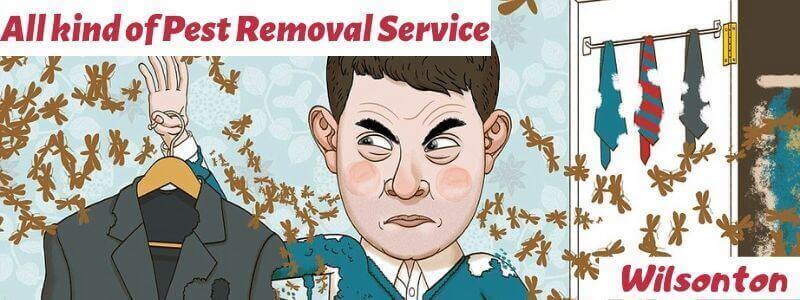 All kind of pests Wilsonton