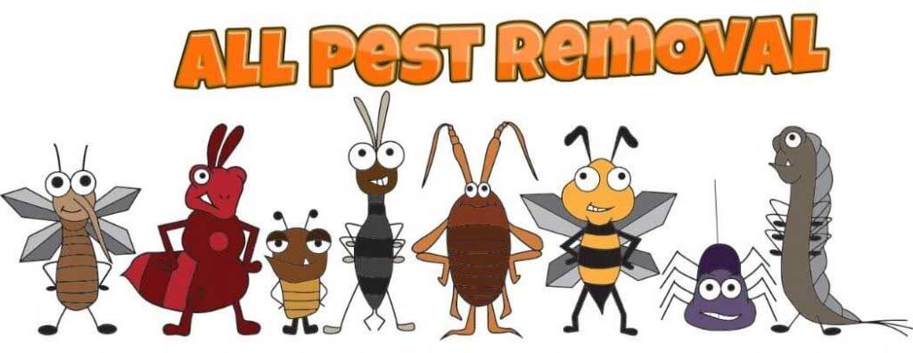 all pest removal
