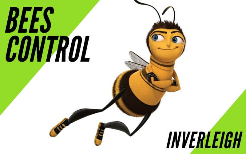 Bees control Inverleigh