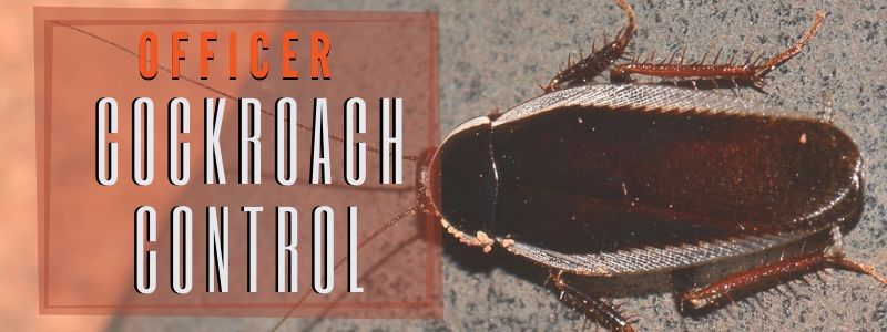 cockroach control officer